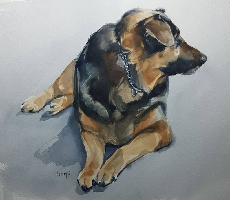 Dogs Pet Portraits German Shepherd Dog Dog Art Animal Portraits Dog Painting Dogs Animal Art Watercolor Portraits Shepherds