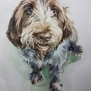 Custom Hand Painted Portrait of your Pet Portraits from photos ultimate gift veterinary pet loss Rainbow Bridge image 2