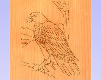 Bald Eagle 2.5D 5" x 5" g code cut file immediate instant download good beginner g code files great size for 3018 cnc machine