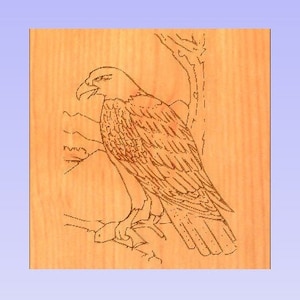 May include: A wood-burned image of an eagle perched on a branch. The eagle is facing left and has its wings folded. The background is a light brown wood.
