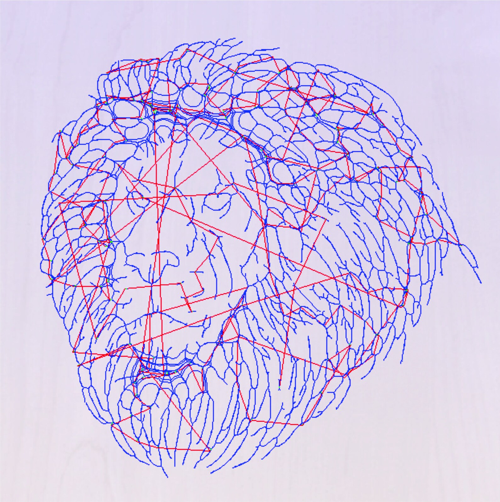 Big Cat 2.5 D CNC Router G Code Cut File Immediate Instant Download ...