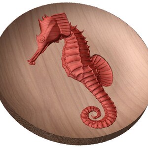 Op de afbeelding: Een rood zeepaardje gegraveerd in een ronde houten plaquette. Het zeepaardje kijkt naar links en heeft een gekrulde staart.