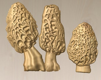 Morel Mushrooms Carving 3D solid model in obj. stl and ply formats Carve with CNC router or mill immediate download in digital zip file