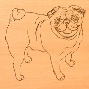 May include: Line drawing of a pug dog on a light brown wooden background.