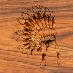 Puede incluir: Una talla de madera detallada de un tocado nativo americano con plumas intrincadas. La talla está sobre una superficie de madera con veta de madera natural.