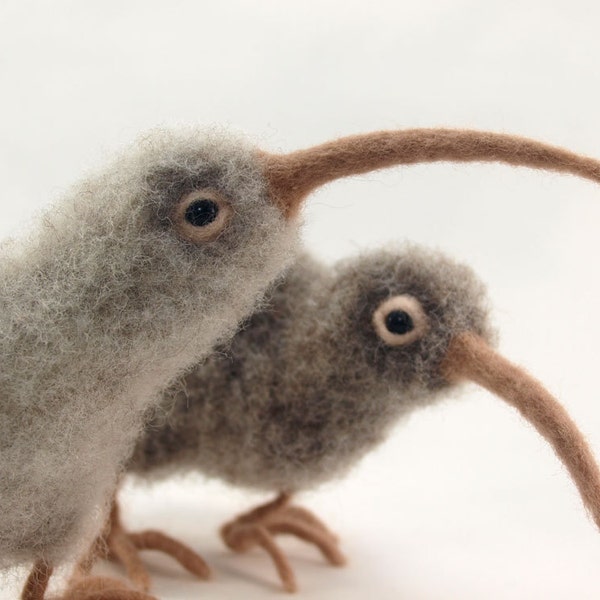 Needle Felted Kiwi, Needle felted birds, Felted animals, Wool Soft Sculpture, Art dolls