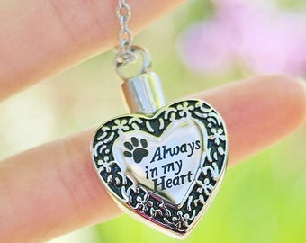 May include: Silver chain necklace with a heart-shaped pendant. The pendant has a paw print and the words "Always in my Heart" engraved on it.