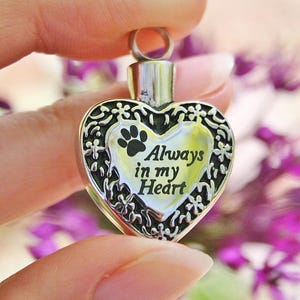 May include: Silver heart-shaped cremation pendant with a paw print and the inscription "Always in my Heart".