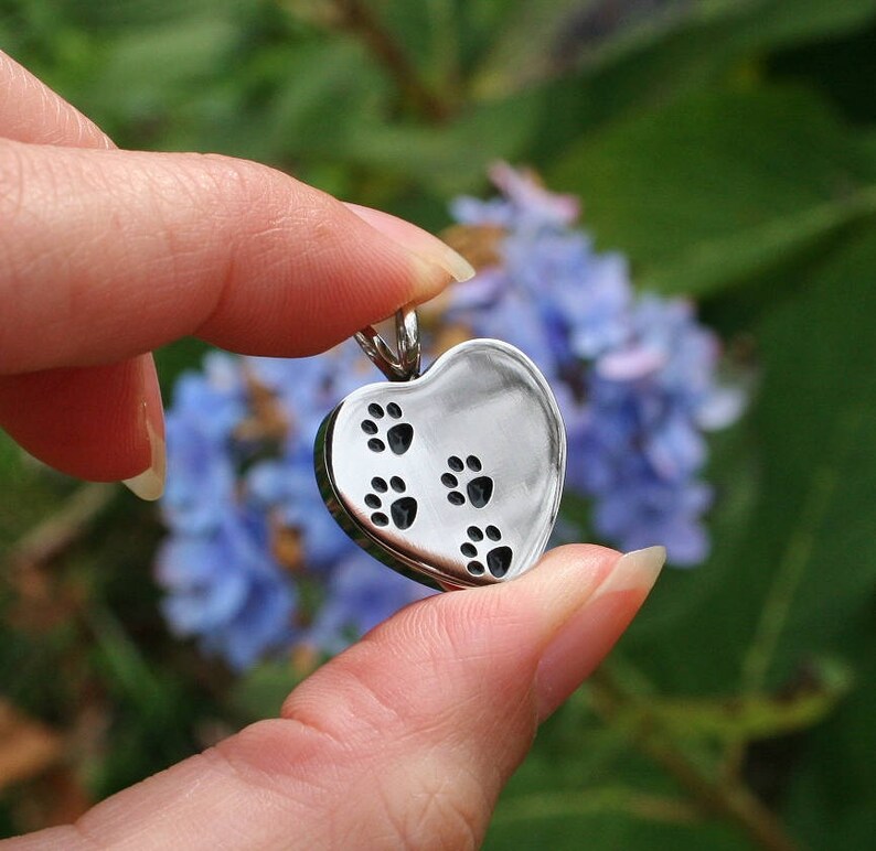 Urn 4 Paws on My Heart Cremation PENDANT or NECKLACE Holds Cremains ...