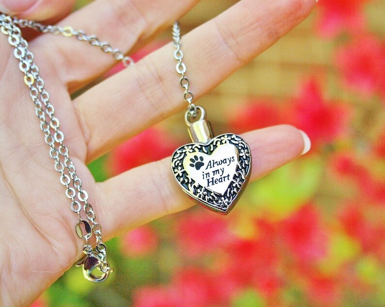 Always in My Heart Pet Cremation Jewelry for Ashes Urn Necklace Ash ...
