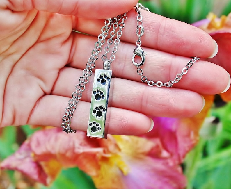 Pet Cremation Jewelry Vial for Ashes Urn Necklace Ash Pendant Etsy