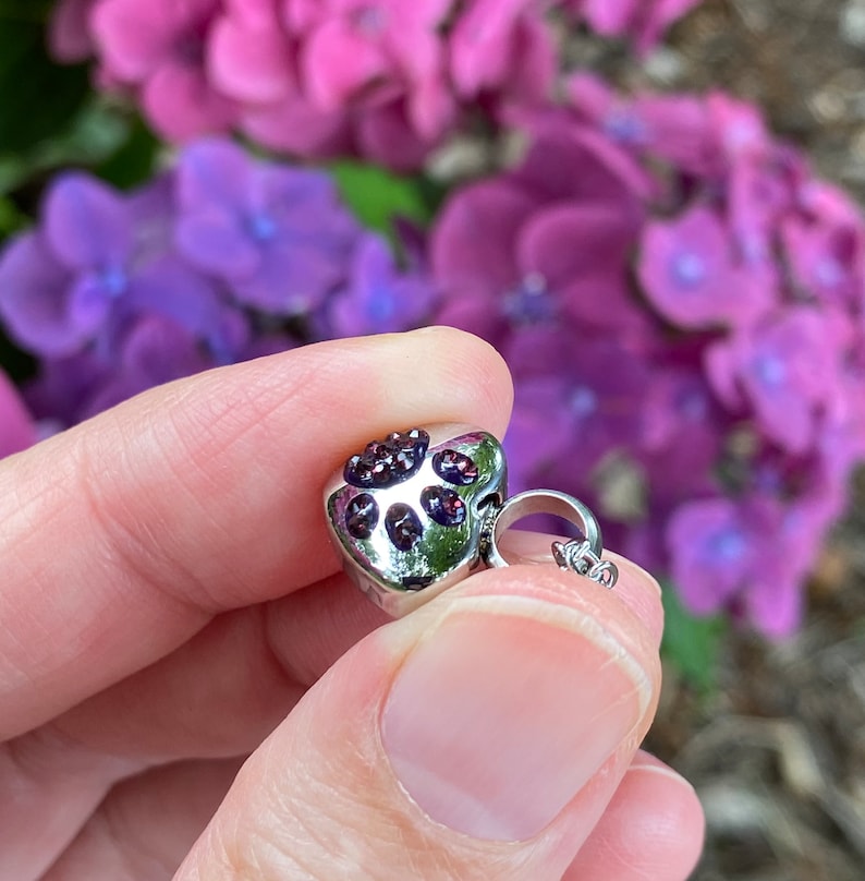 Tiny Paw Print on My Heart Pet Cremation Jewelry for Ashes Urn Necklace ...