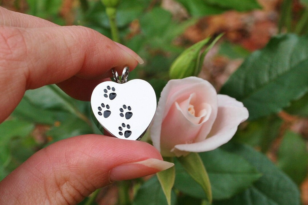 Urn 4 Paws on My Heart Cremation PENDANT or NECKLACE Holds Cremains ...