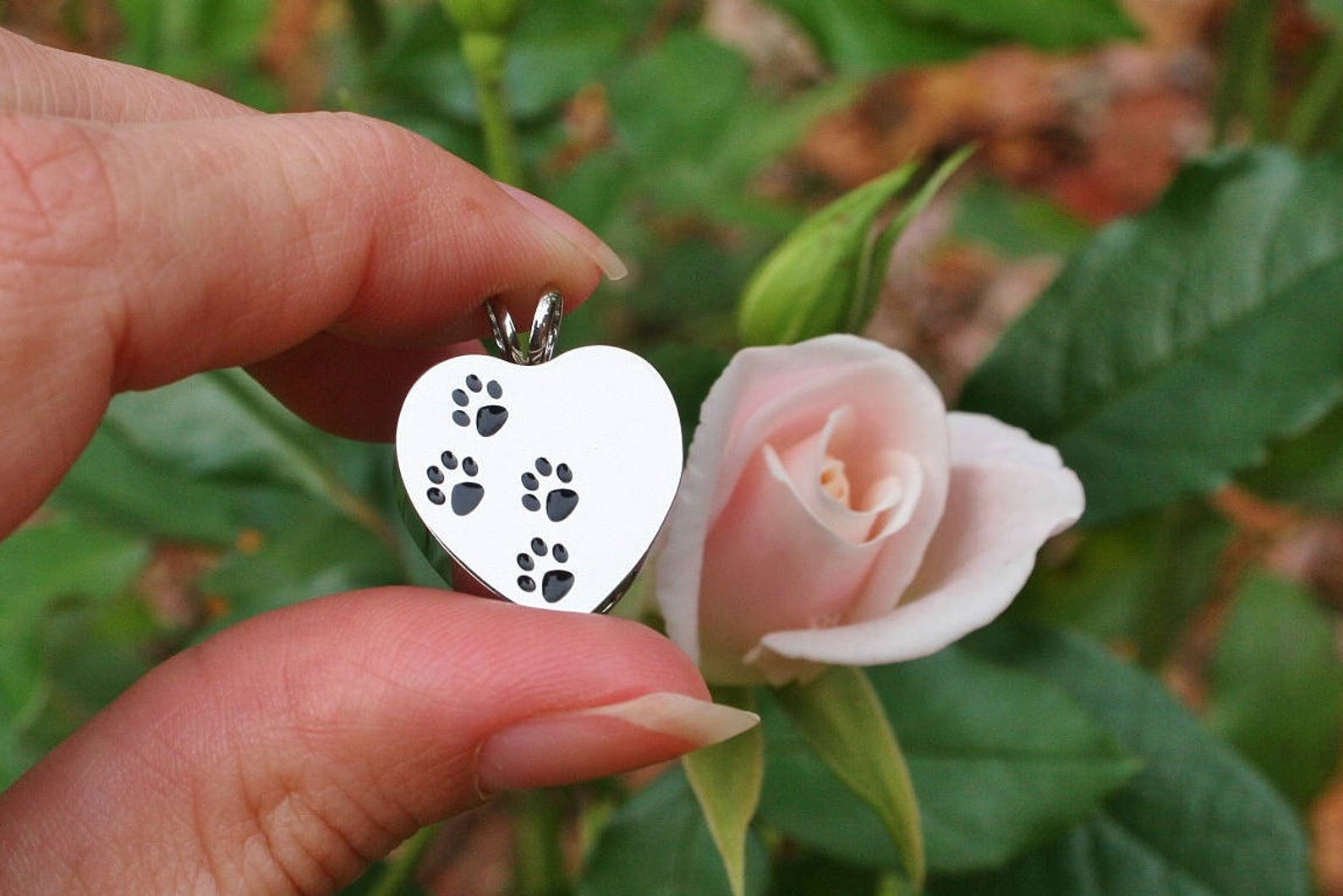 Urn 4 Paws on My Heart Cremation PENDANT or NECKLACE Holds Cremains ...