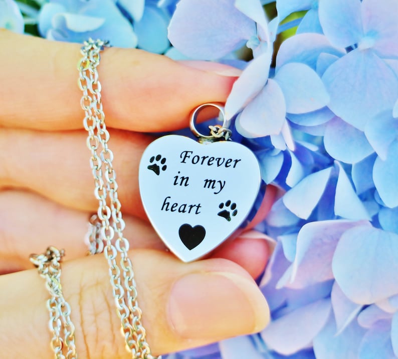 Pet Cremation Urn PENDANT OR NECKLACE Ash Jewelry Forever in My Heart ...