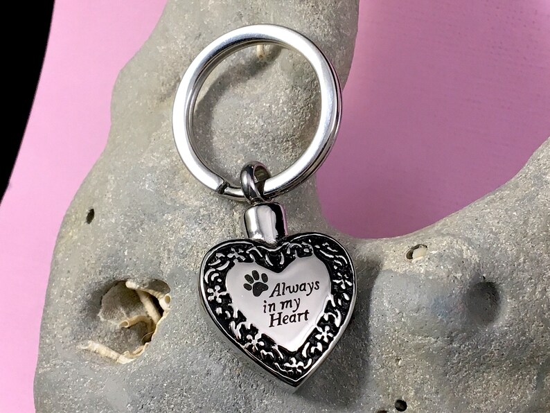 May include: Silver heart-shaped keychain with a paw print and the inscription "Always in my Heart".