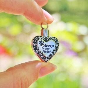 May include: Silver heart-shaped cremation pendant with a paw print and the inscription "Always in my Heart".