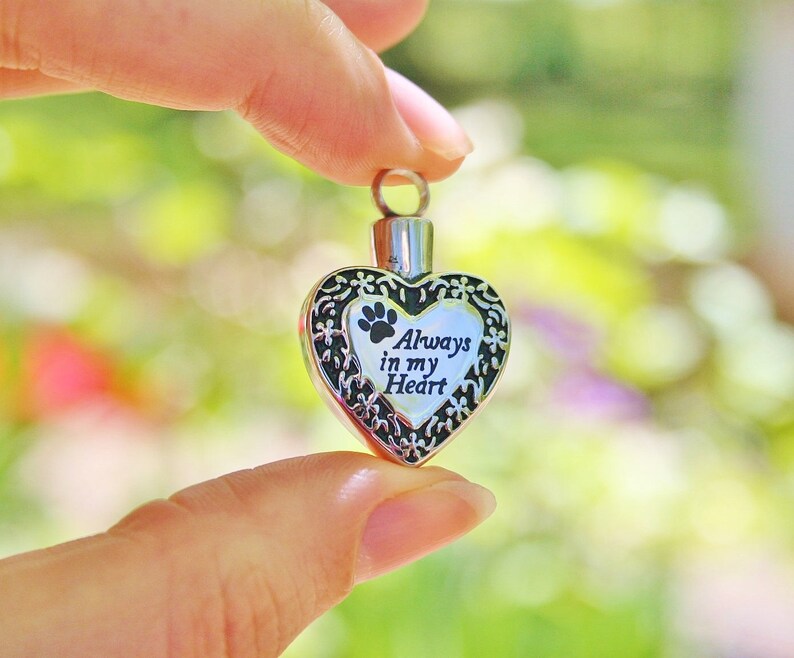 May include: Silver heart-shaped cremation pendant with a paw print and the inscription "Always in my Heart".