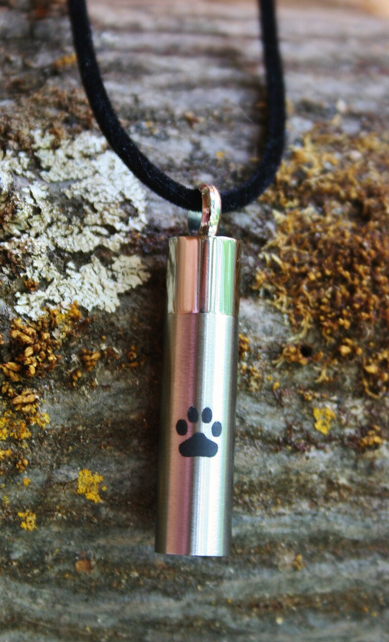 Urn Paw Print Vial Cremation PENDANT or NECKLACE Holds Cremains Ashes ...