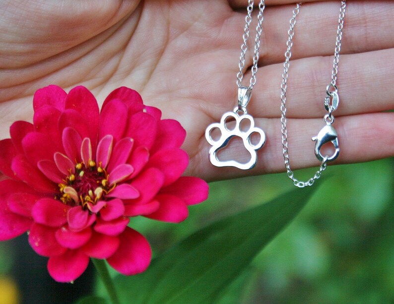 Paw Print Silhoutte Jewelry Sterling Silver .925 Necklace Chain Charm Pendant Benefits Animal Rescue Dog Cat Pet Lover Ladies Brithday Gift Charm Necklaces Necklaces mahilacollegekhagaul.com