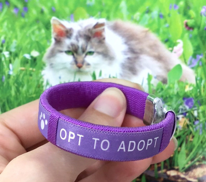 Child/'s Opt to Adopt Fabric Bracelet for Pet Rescue Dog Cat Paw Prints Animal Adoption Fundraiser Gift for Kids Children Boys Girls Woven