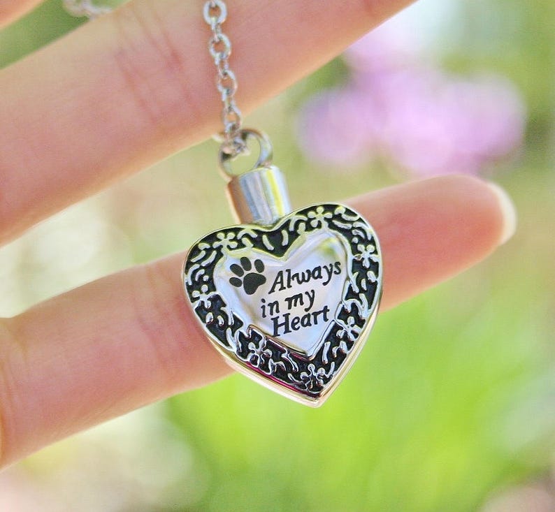 May include: Silver heart-shaped cremation necklace with a paw print and the inscription "Always in my Heart".