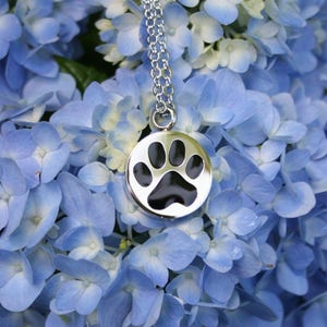 Paw Print Pet Cremation Jewelry for Ashes Urn Necklace Ash Pendant Dog ...