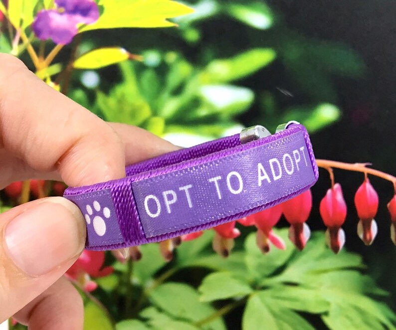 Child/'s Opt to Adopt Fabric Bracelet for Pet Rescue Dog Cat Paw Prints Animal Adoption Fundraiser Gift for Kids Children Boys Girls Woven