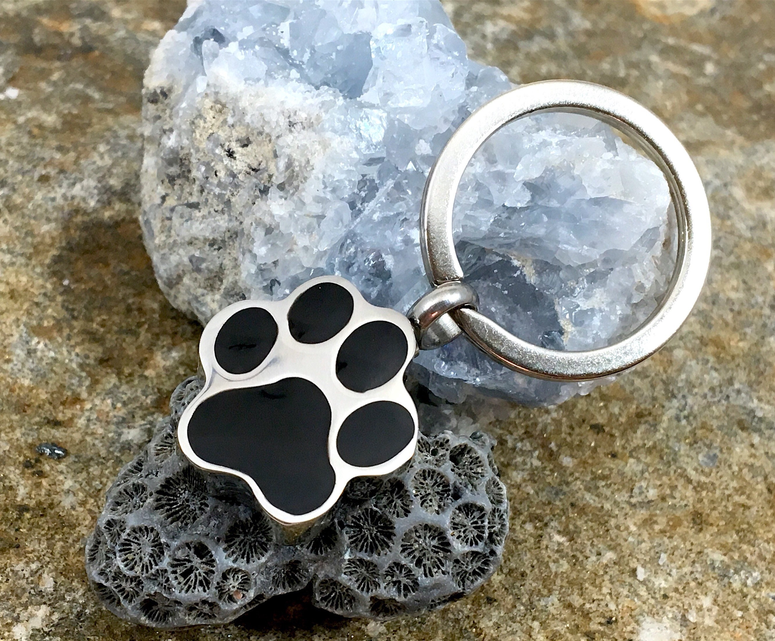 Urn Paw Print Cremation PENDANT or NECKLACE Holds Cremains Ash Locket ...