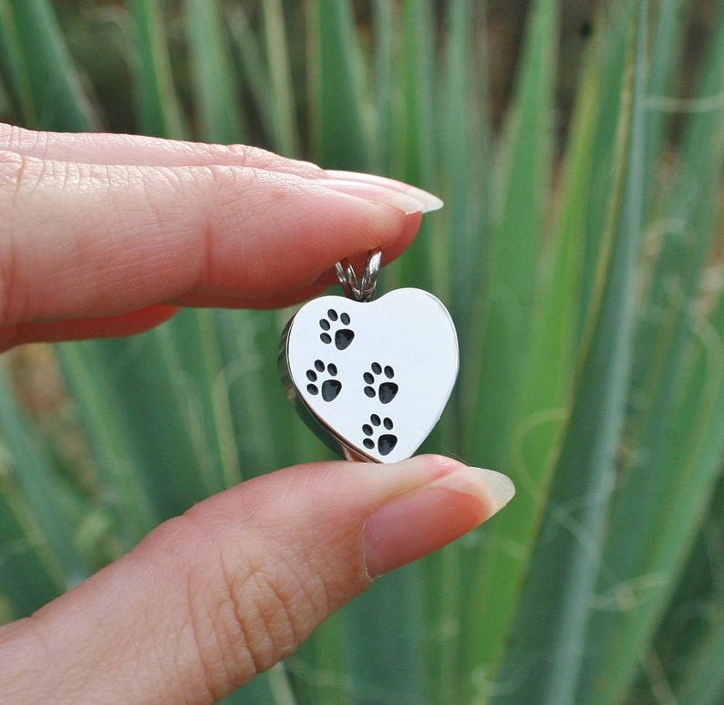 4 Paws on My Heart Pet Cremation Jewelry for Ashes Urn | Etsy
