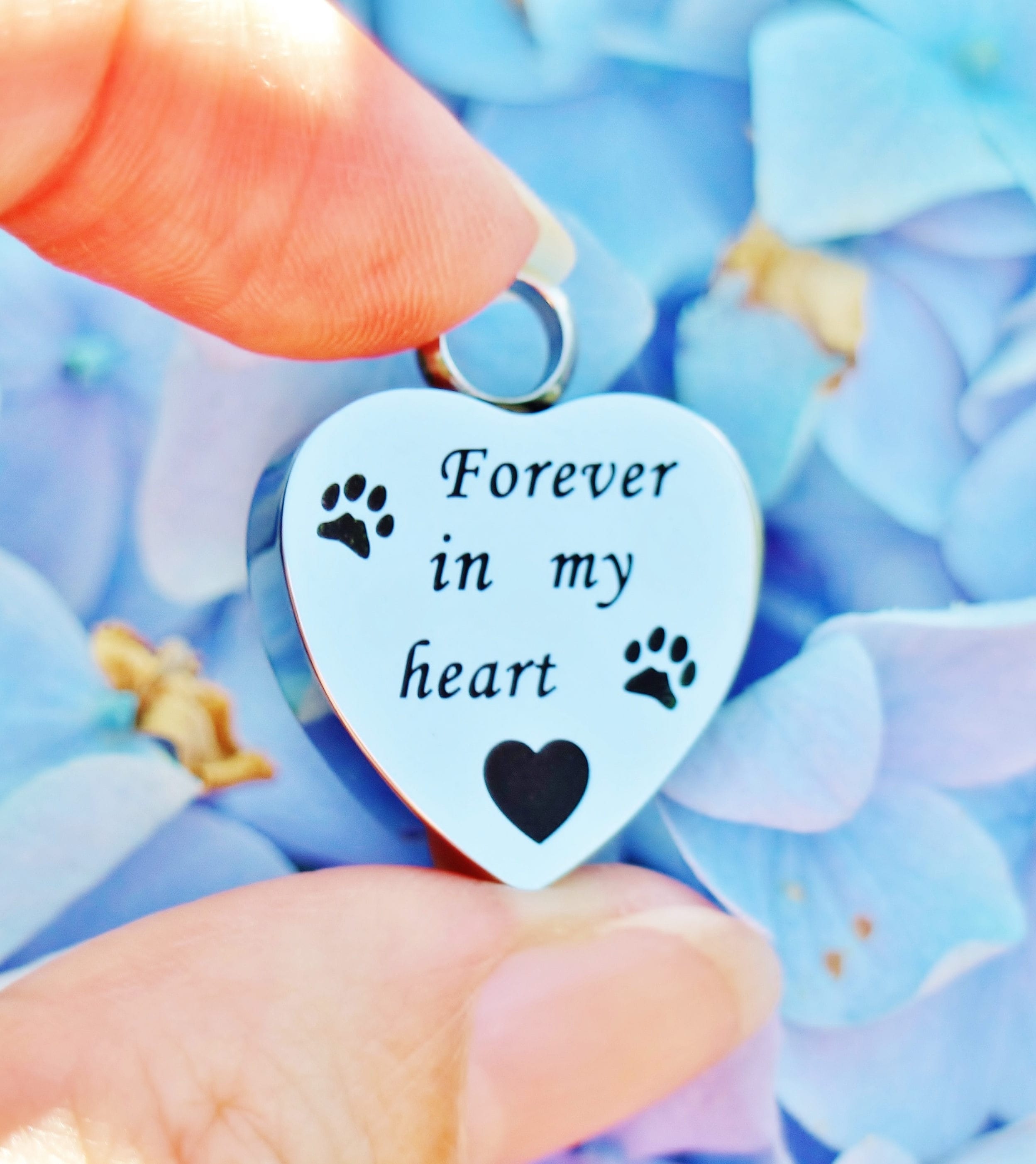 Forever in My Heart Pet Cremation Jewelry for Ashes Urn Necklace Ash ...