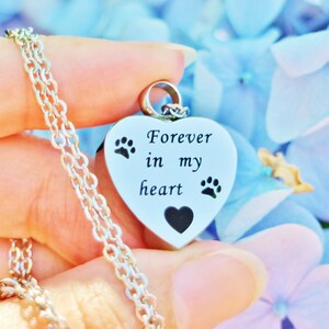 Forever in My Heart Pet Cremation Jewelry for Ashes Urn Necklace Ash ...