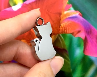 Urn Cat Cremation PENDANT or NECKLACE Holds Cremains Ash Locket Kitten Kitty Loss In Memory of Beloved Pet Memorial Gift Ladies Girls Silver