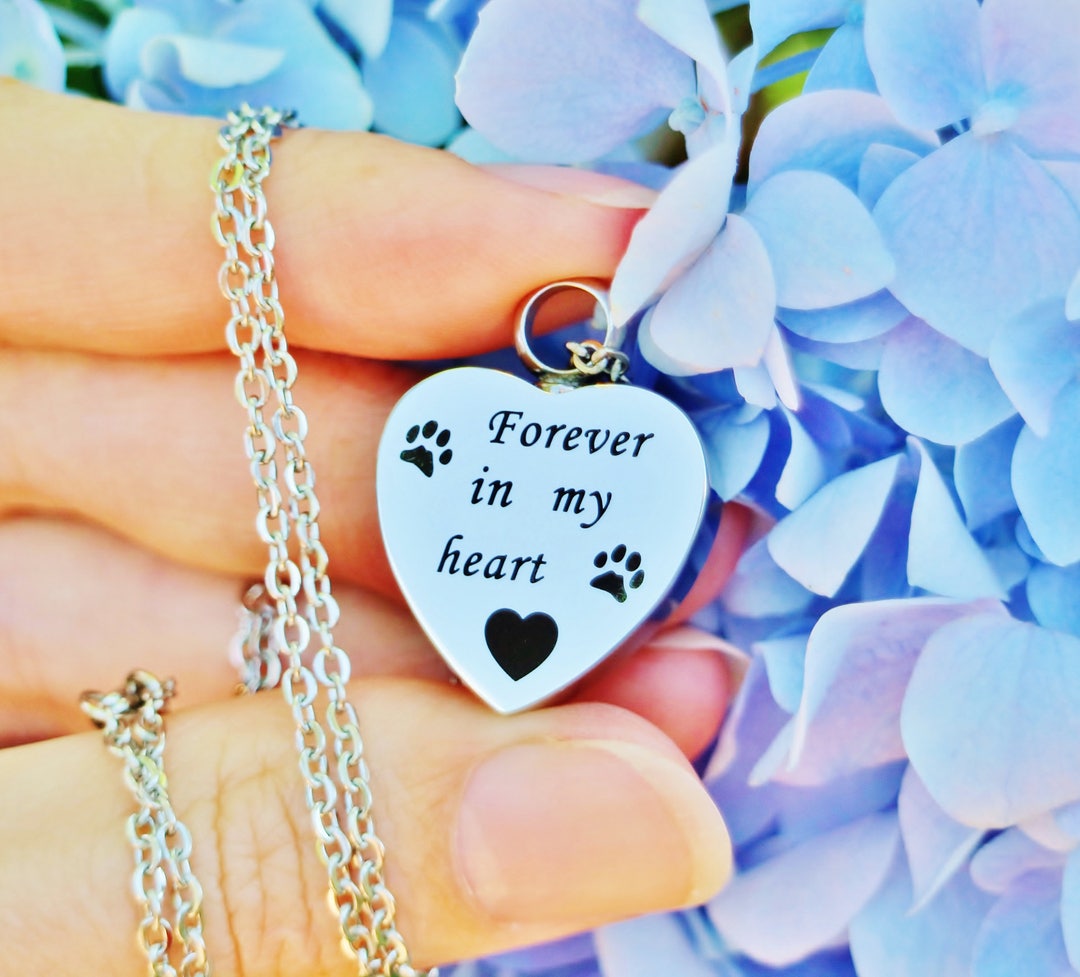Forever in My Heart Pet Cremation Jewelry for Ashes Urn Necklace Ash ...