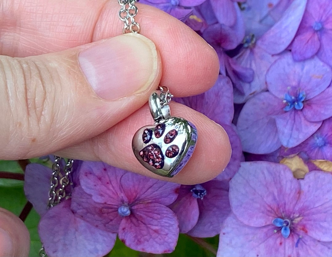 Tiny Paw Print on My Heart Pet Cremation Jewelry for Ashes Urn Necklace ...