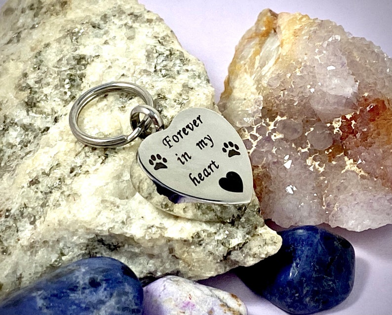 Forever in My Heart Pet Cremation Jewelry for Ashes Urn Necklace Ash ...