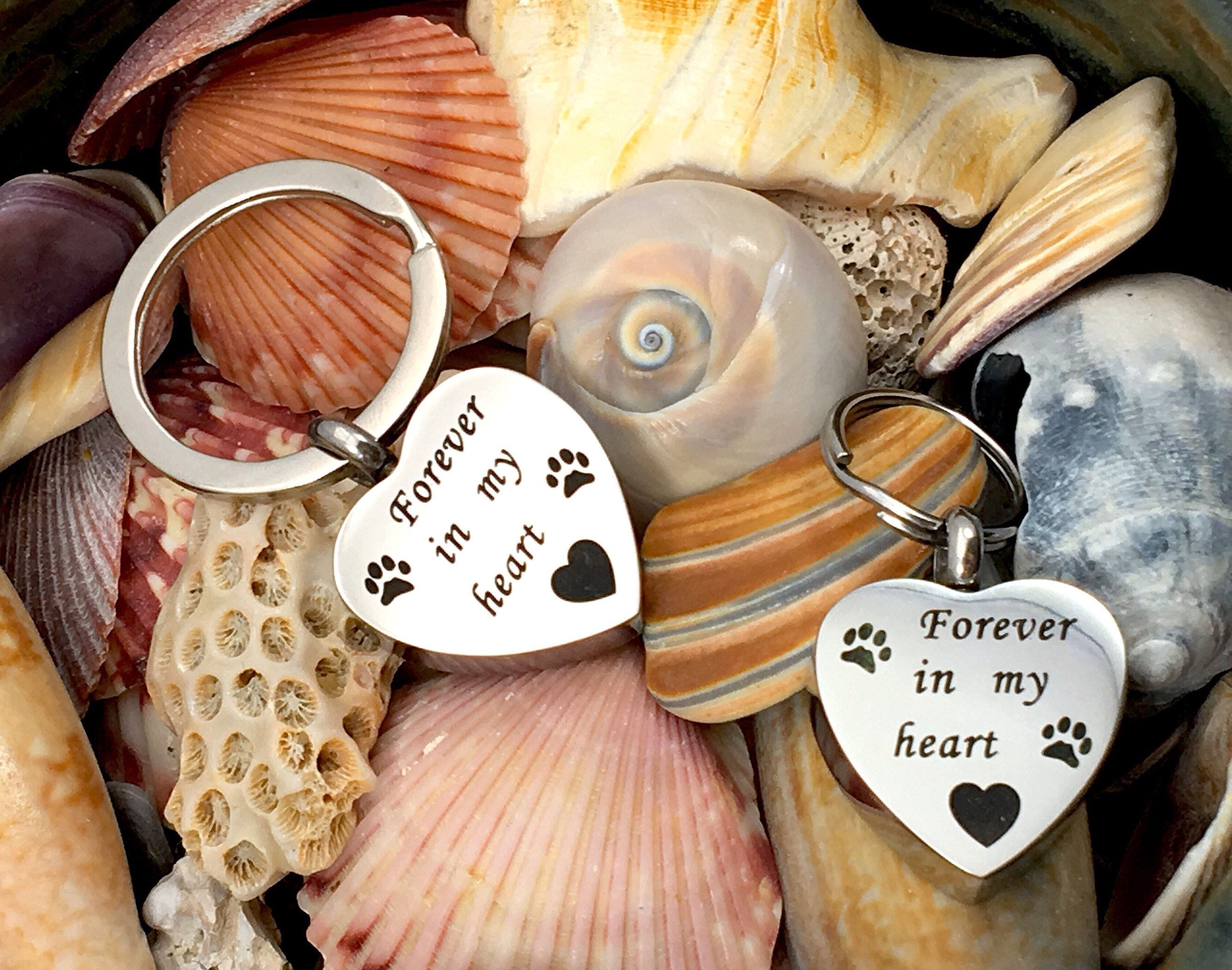 Forever in My Heart Pet Cremation Jewelry for Ashes Urn Necklace Ash ...