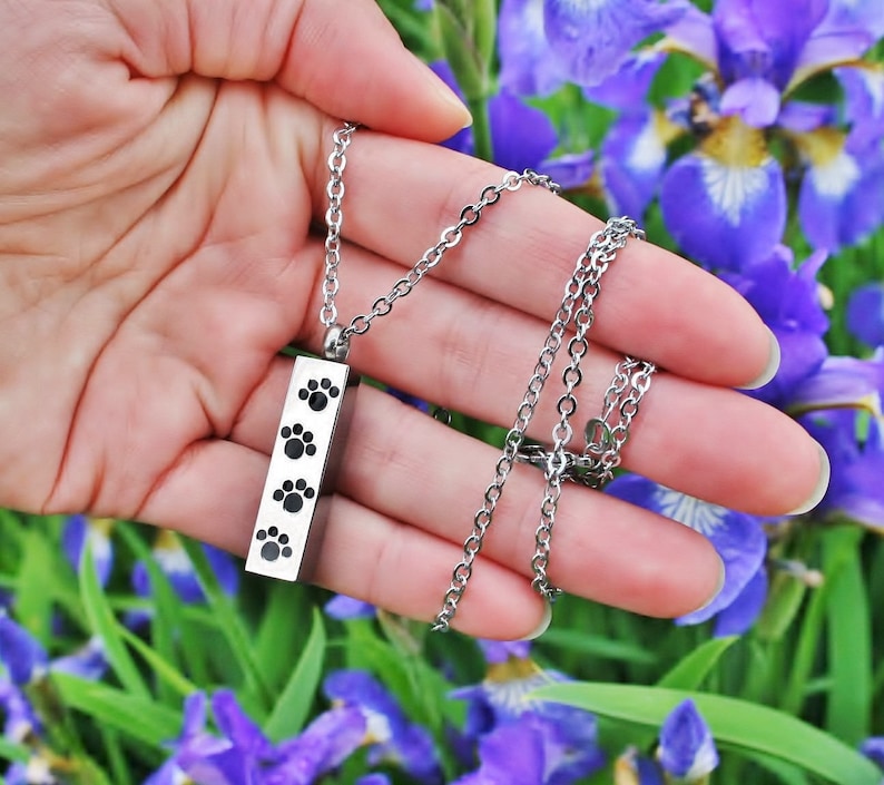 Pet Cremation Jewelry Vial for Ashes Urn Necklace Ash Pendant Etsy