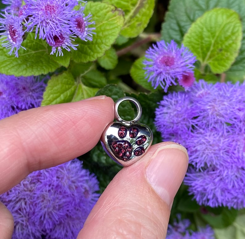 Tiny Paw Print on My Heart Pet Cremation Jewelry for Ashes Urn Necklace ...