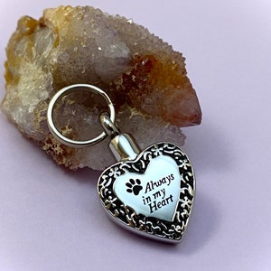 Heart Pet Urn Necklace For Ashes - Stainless Steel, Paw Print Memorial Pendant, Keepsake For Dog & Cat Ashes