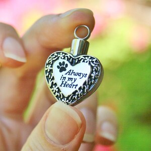 May include: A silver heart-shaped pendant with an engraved paw print and the words "Always in my Heart".