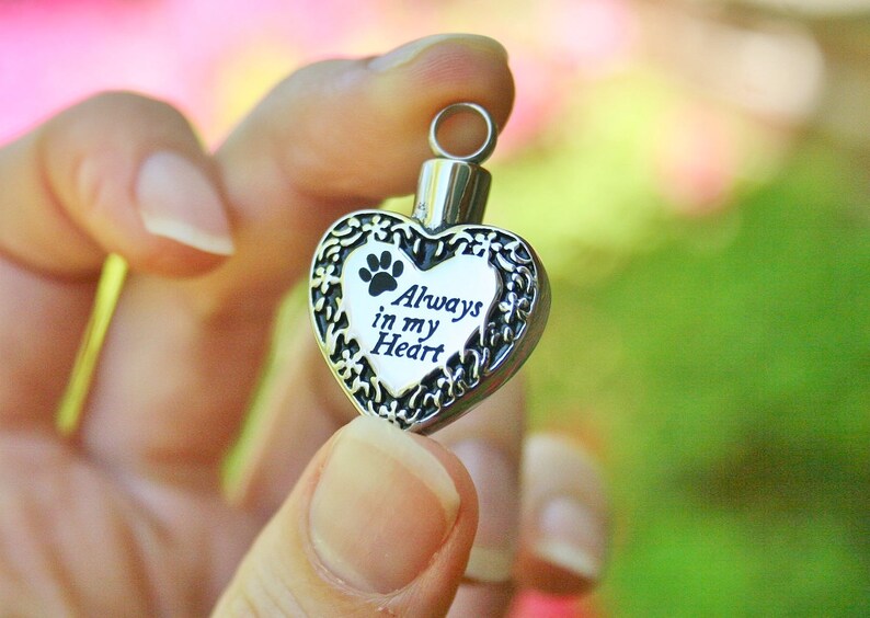 May include: A silver heart-shaped pendant with an engraved paw print and the words "Always in my Heart".