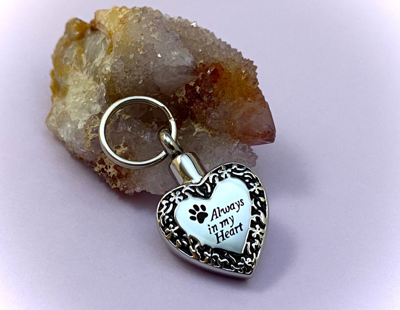 May include: A silver heart-shaped keychain with a paw print and the inscription "Always in my Heart".