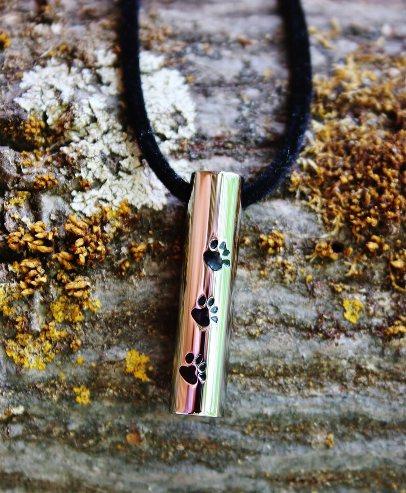 Mens Ladies Cremation Key Ring Chain Jewelry Urn for Pet ...
