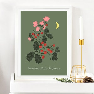 Arctic Raspberry art print, Floral and berry art, raspberry drawing, botanical blossom pink room decor, floral dining room, green bathroom