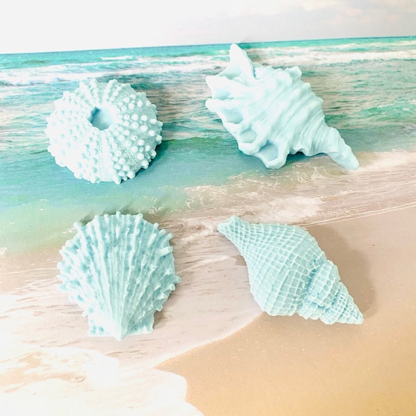 Seashell Soap set - Eucalyptus Soap Set - Seachells Soap - Shea Butter Soap -Shell Shape Soap - Ocean Theme Soap