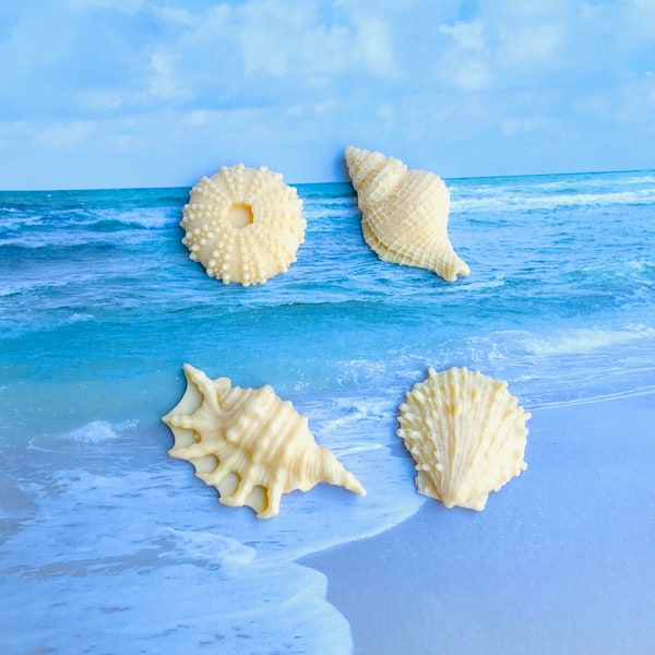 Seashell Soaps - Seashell Soaps Set - Eucalyptus Soap Set - Beach Theme Soaps - Natural Soap - Ocean Theme Soaps - Party Favors
