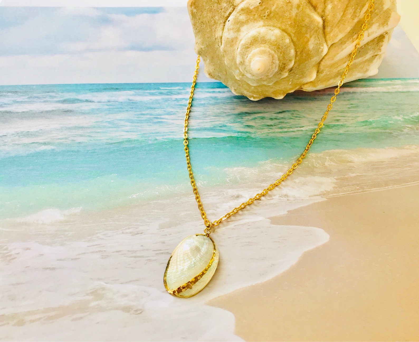 Natural Shell Necklacebeach Necklace white Shell Necklace Etsy New