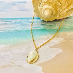 Natural Shell Necklace-Beach Necklace -White Shell Necklace