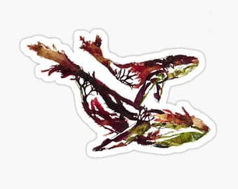 Humpback Whales sticker, Mother whale and calf sticker, Ocean mammal vinyl sticker, Aquatic creature kiss cut sticker, Pressed Seaweed art,